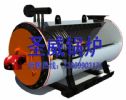 Horizontal fuel(gas)-fired thermal oil heater